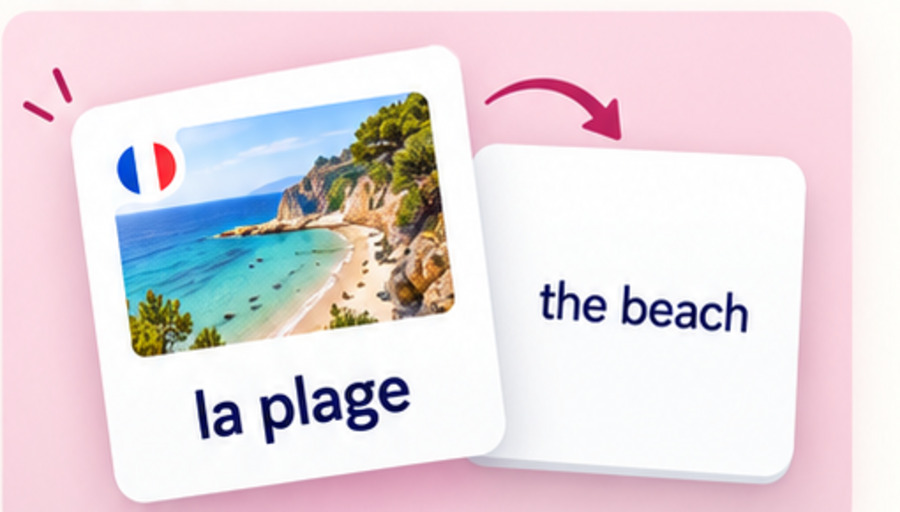 Illustrative French vocabulary flashcard before and after turning